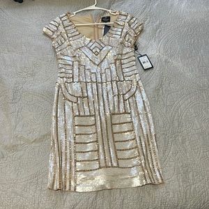 Adrianna Papell Dress. Never worn with tags attached